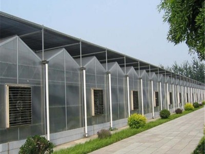 上海花卉温室大棚 温室采光工程  旭航