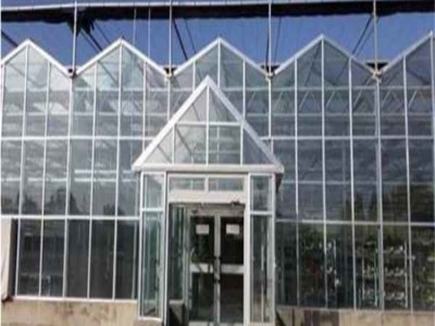 花卉玻璃温室大棚造价 内蒙智能温室建设公司 旭航