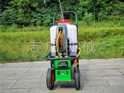 苗圃花卉喷洒喷雾器 大豆农田除虫打药机 厂区车间消毒喷雾器