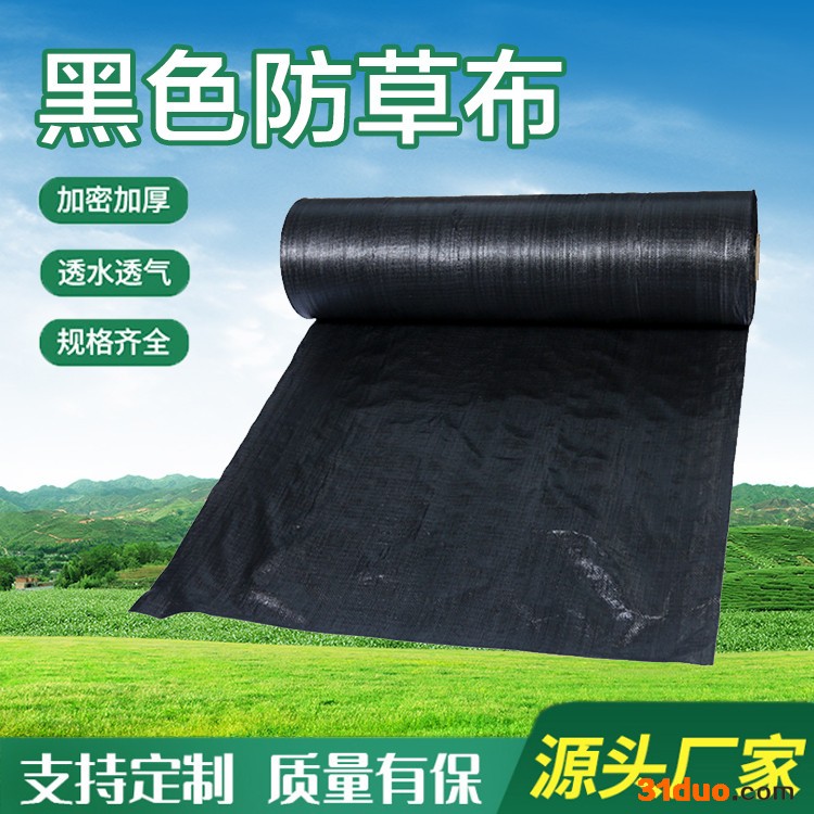 美旭 果树苗木除草布覆盖除草布