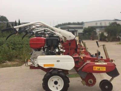 双链条开沟机批发 多功能施肥机适用甘蔗花卉辣椒等作物的