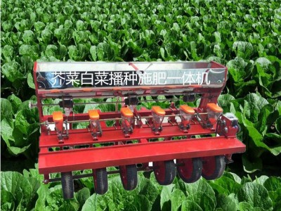 小型手推式蔬菜播种机汽油蔬菜播种机 花卉药材手推精播机