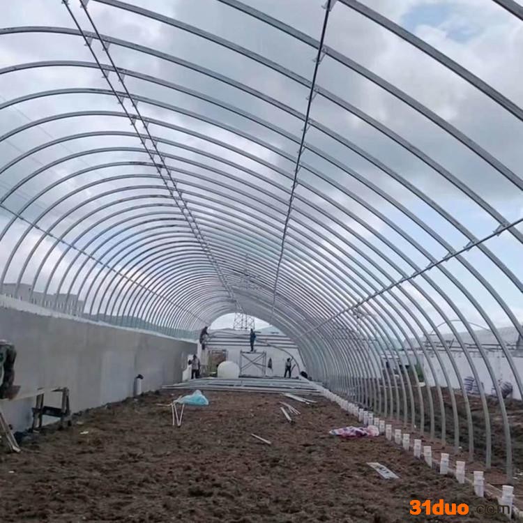 半斜坡大棚  植物种植棚  花卉种植棚 日光温室种植大棚骨架