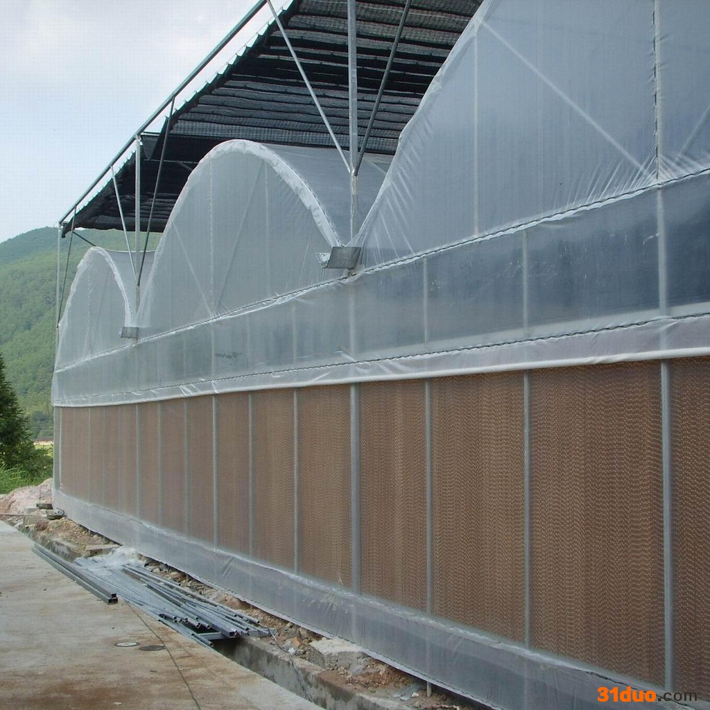 承接薄膜连栋温室 建设花卉温室大棚价格