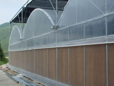 承接薄膜连栋温室 建设花卉温室大棚价格