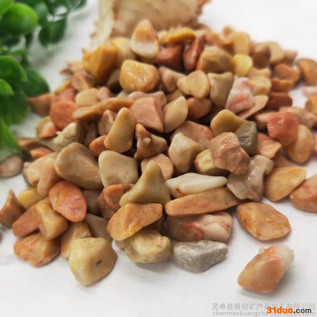 展贸 供应水洗石  洗米石 多肉花卉铺面用水洗石 庭院铺路用胶粘石子