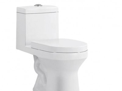 陶园盛世  贴牌马桶 工程OEM坐便 杭州卫浴洁具招商加盟 9013