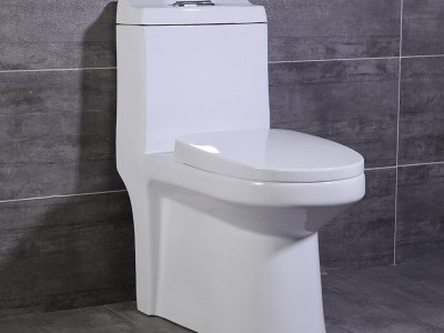 陶园盛世 工程马桶 普通坐便器  贴牌马桶 装修座便器  山东卫生陶瓷加盟招商 9030