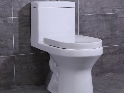 陶园盛世 马桶座便器 直冲坐便   山东马桶招商代理0913