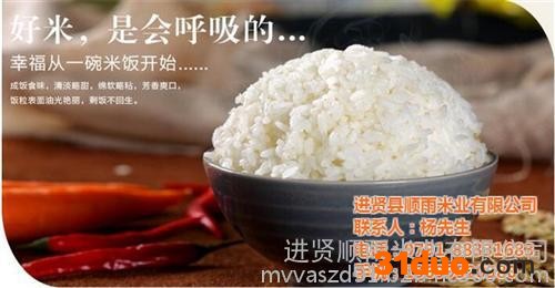 **大米招商|鹰潭大米招商|进贤顺雨米业(在线咨询)