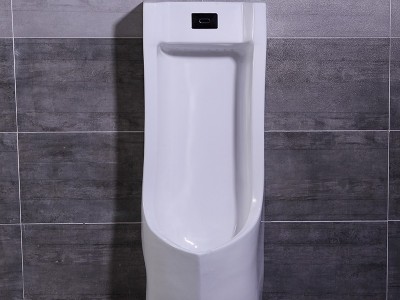 陶园盛世 陶瓷立便器    山东洁厕招商代理1012