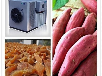 红薯烘干机  金凯红薯烘干设备厂家  空气能热泵烘干机  全国招商 加盟