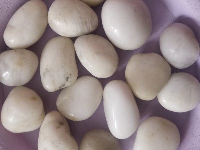 【海滨矿产品】江苏白石子招商