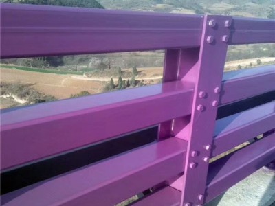 神龙 防撞护栏网 汽车防撞护栏 混凝土防撞护栏 燃气管道防撞护栏 长期现货