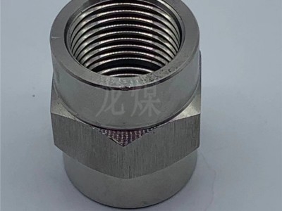 龙煤 304不锈钢内螺纹接头 内螺纹气管水管接头 快速快换接头