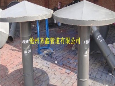 02S403标准罩型通气管Z-600，经验丰富，放心采购