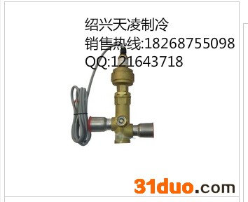 丹佛斯电子膨胀阀体 ETS50B 034G1708