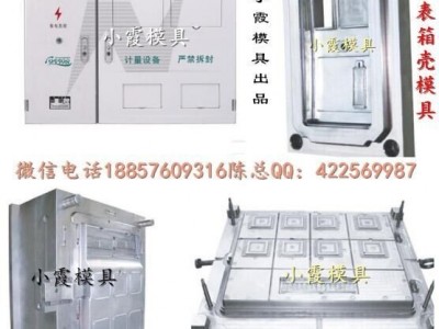 大型塑料模具生产 新国网单相二位电表箱模具厂家
