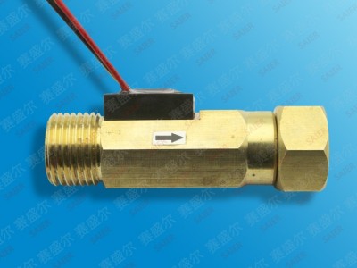 赛盛尔SEN-HZ21FD 洗车设备水流传感器 淋浴器水流传感器 回水器水流传感器