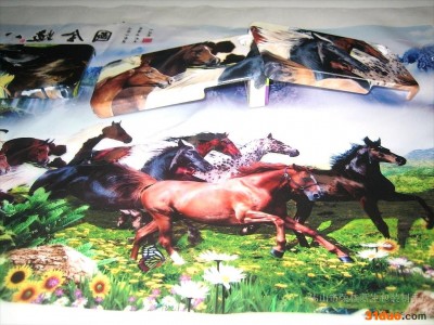 供应XINSHENG新生XL5000手机壳数码彩印机