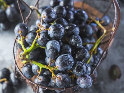 智利水果进口报关，智利水果报关，进口水果深圳报关