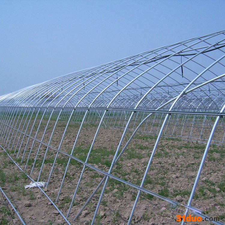 智能玻璃温室造价 温州半斜坡大棚