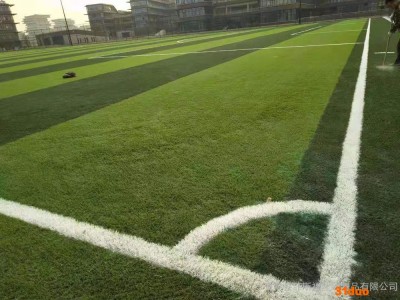 施工定制球场人工草坪温州室外人造草坪批发
