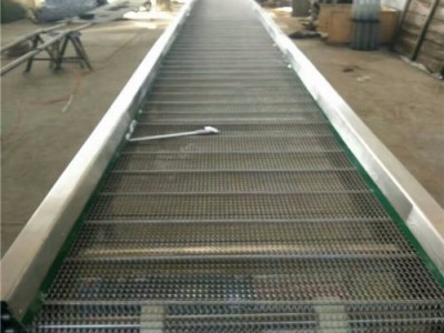 温州网带清洗输送机 食品专用输送机