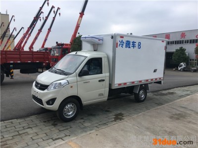 温州2.9米车厢食品冷藏车指导价