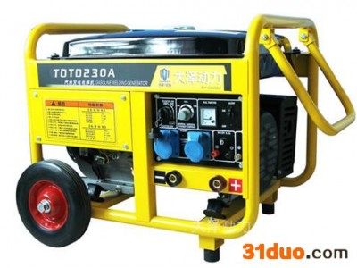 温州大泽动力230A汽油发电焊机供应