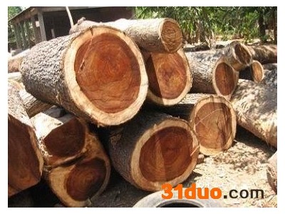 提供服务上海进口阔叶紫檀报关需要哪些文件