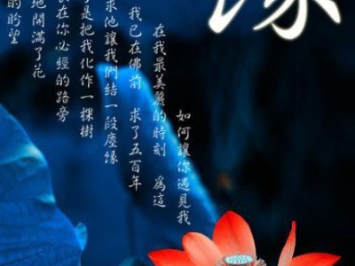 沐贵人 温州洗衣液批发 温州洗衣液代理 沐贵人洗衣液招商