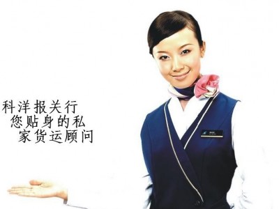 供应拖车、报关、熏蒸专业黄埔熏蒸服务