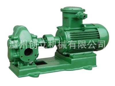 （厂价直销）型齿轮式输油泵、温州**货源量大从优