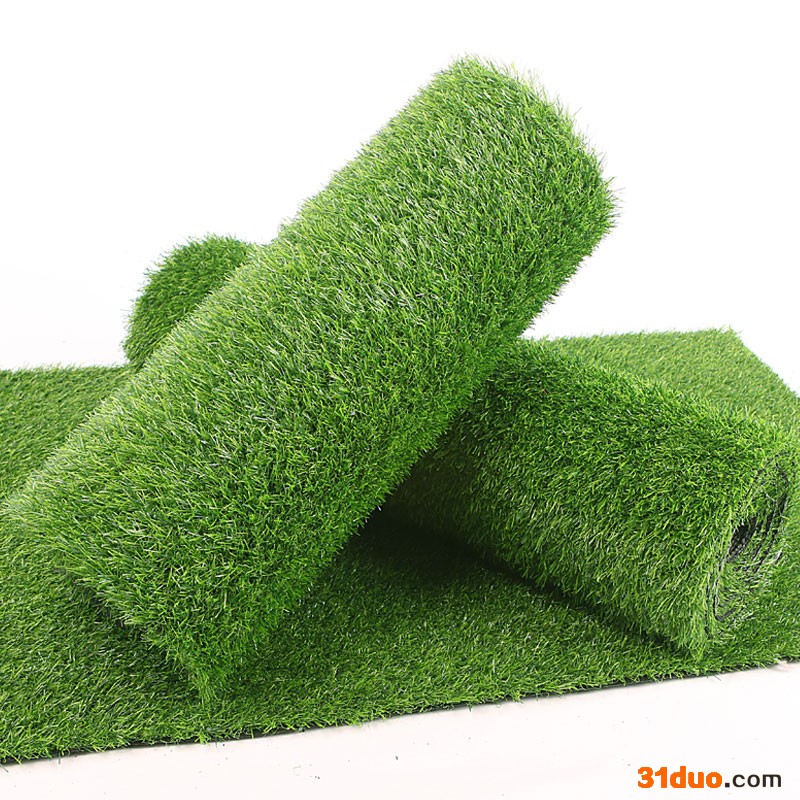 现货草坪草温州球场草坪厂家