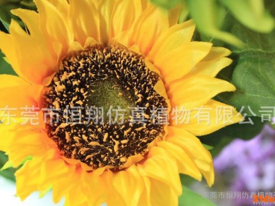 特价**真向日葵手花 精致太阳花 酒店办公家居摆设艺术品