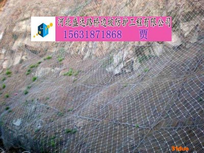 温州主动防护网 主动防护网 主动防护网厂