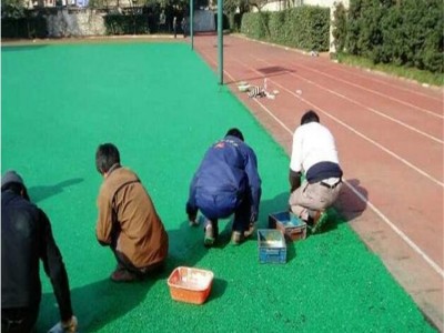 温州市 无溶剂硅PU EPDM塑胶跑道 包工包料