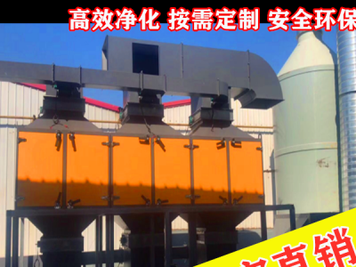 温州 工厂直销RCO催化燃烧喷漆废气治理