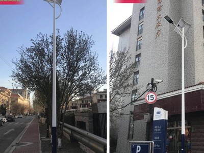 鄄城草坪灯厂家 路辉照明LED亮化灯生产批发