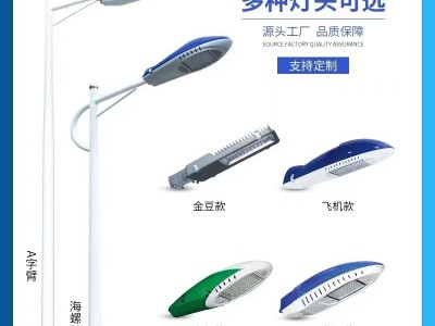 普米瑞YHSD-0003 照明工程专用30W5米A字臂路灯路灯生产厂家