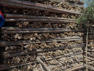 温州腾福竹木 竹竿  竹竿厂家 竹竿厂家批发