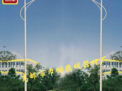 巾帼   道路 小区厂区 公园 小区 广场照明路灯  8米60WLED道路灯