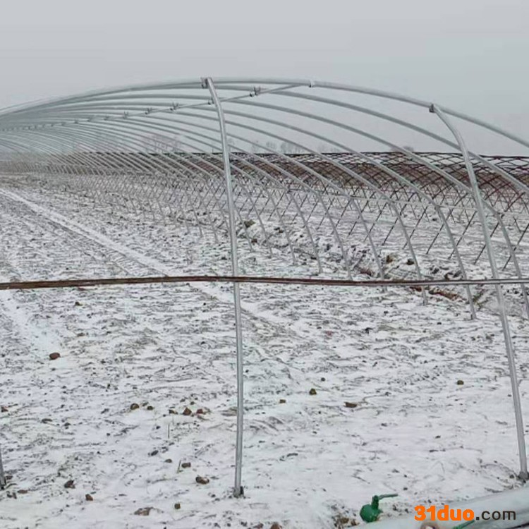 鼎荣钢铁 定制大棚管 辣椒温室大棚管 温室建材大棚管