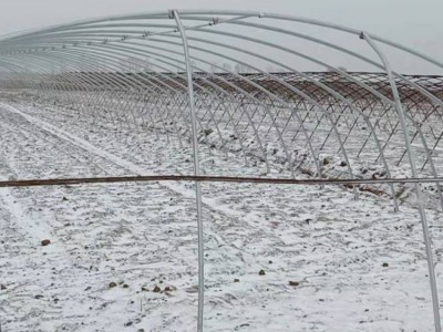 鼎荣钢铁 定制大棚管 辣椒温室大棚管 温室建材大棚管