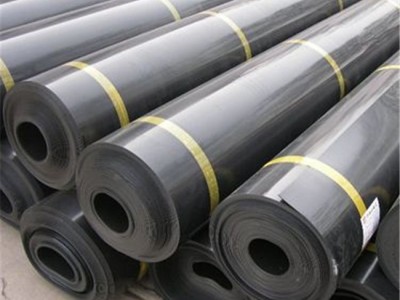 山东瑞亨建材 土工膜 防渗土工膜