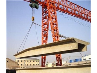 菏泽大正建材 混凝土双T板 专业双T板厂家 粮库专用双T板