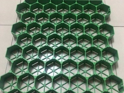 专业生产  中齐建材  植草格  供应**植草格 **