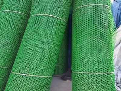 中齐建材  济宁三维植被网生产厂家