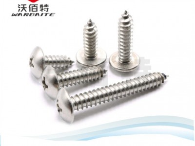 专业加工 工业家具用螺丝 不锈钢 螺丝 多品种采购 厂家